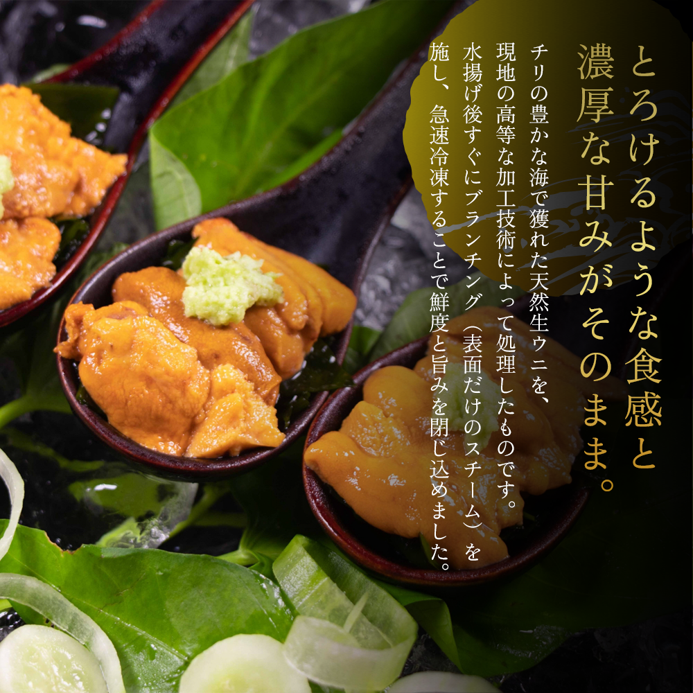 【御膳の達人】訳あり 無添加 生ウニ 200g 100g×2パック
