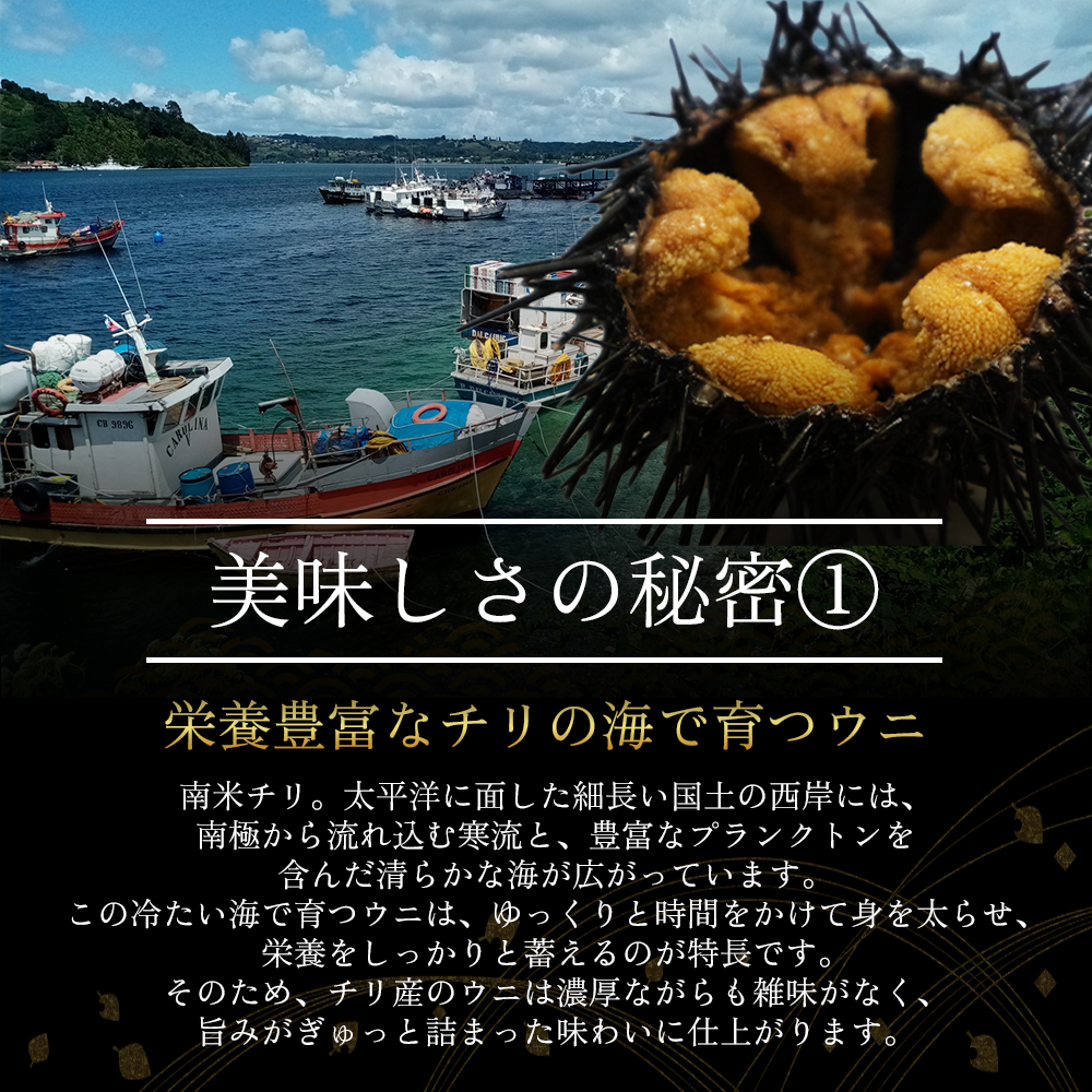 【御膳の達人】訳あり 無添加 生ウニ 200g 100g×2パック
