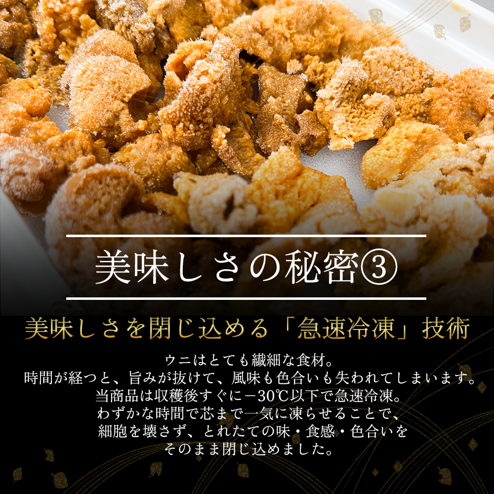【御膳の達人】訳あり 無添加 生ウニ 200g 100g×2パック